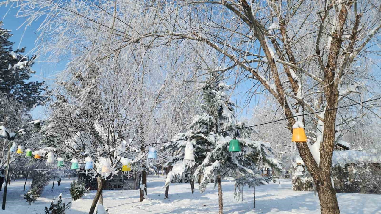 ELAZIĞ’IN KARAKOÇAN İLÇESİNDE HAVA SICAKLIĞININ EKSİ 22 DERECEYE DÜŞMESİYLE DON OLAYI YAŞANIRKEN...