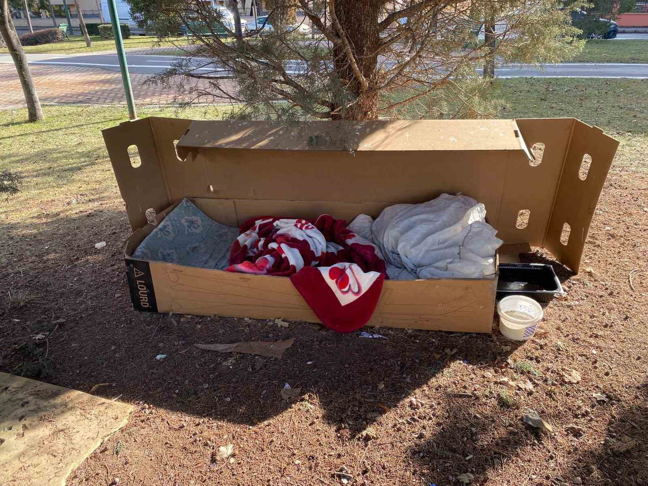 ESKİŞEHİR'İN VİŞNELİK MAHALLESİ'NDE DUYARLI VATANDAŞLAR, SOĞUYAN HAVALARLA BİRLİKTE SOKAK...