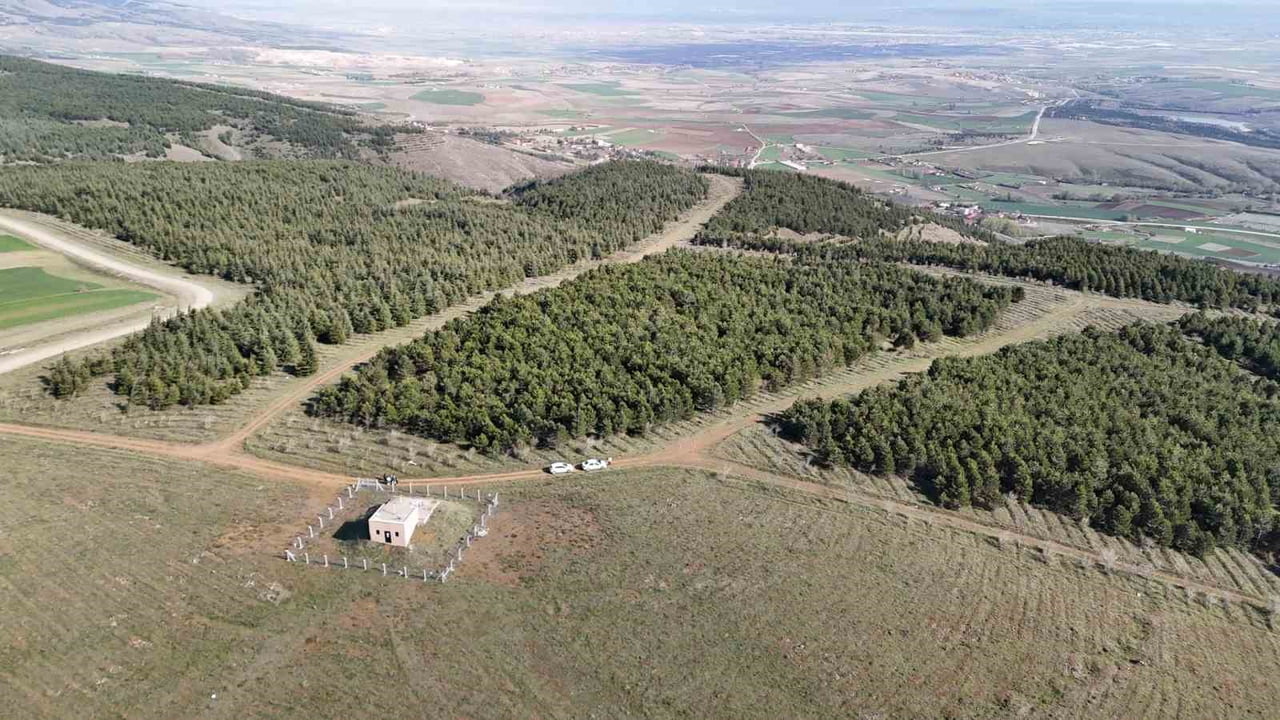 ESKİŞEHİR’DE DENİZ OKTAY’I (30) BOĞDUKTAN SONRA CESEDİNE BENZİN DÖKEN İDRİS GÖKMEN, "DENİZ’İN...