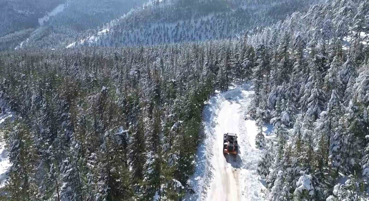 FEKE KAR KÜREME VE KATRAN ORMAN KARLI DRONE ÇEKİM
