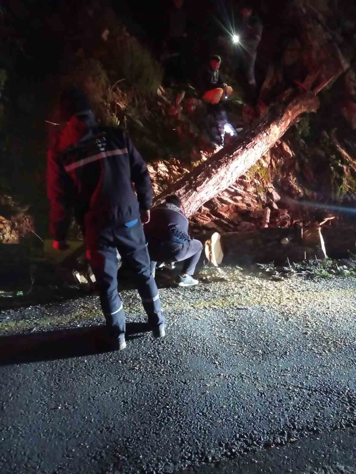 FIRTINA SEBEBİYLE TURUNÇ MAHALLESİ'NDE DE BİR AĞAÇ YOLA DEVRİLDİ.