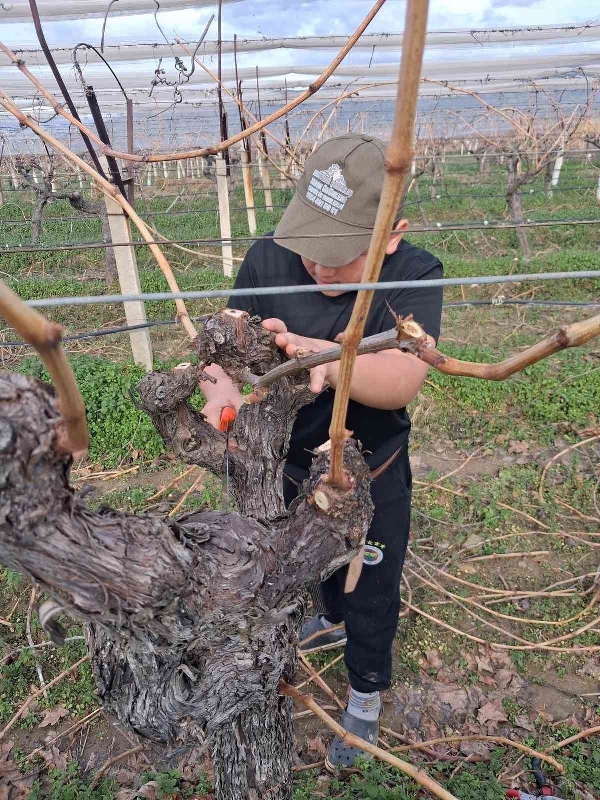 GEÇTİĞİMİZ GÜNLERDE ETKİLİ OLAN YAĞIŞLARIN SONA ERMESİYLE BİRLİKTE MANİSA’NIN SARIGÖL İLÇESİNDE...