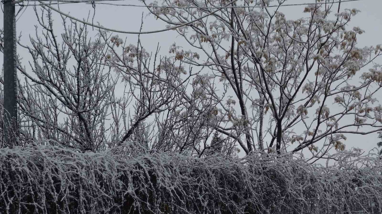 GERCÜŞ BEYAZ ÖRTÜYLE KAPLANDI: ORTAYA RENKLİ GÖRÜNTÜLER ÇIKTI