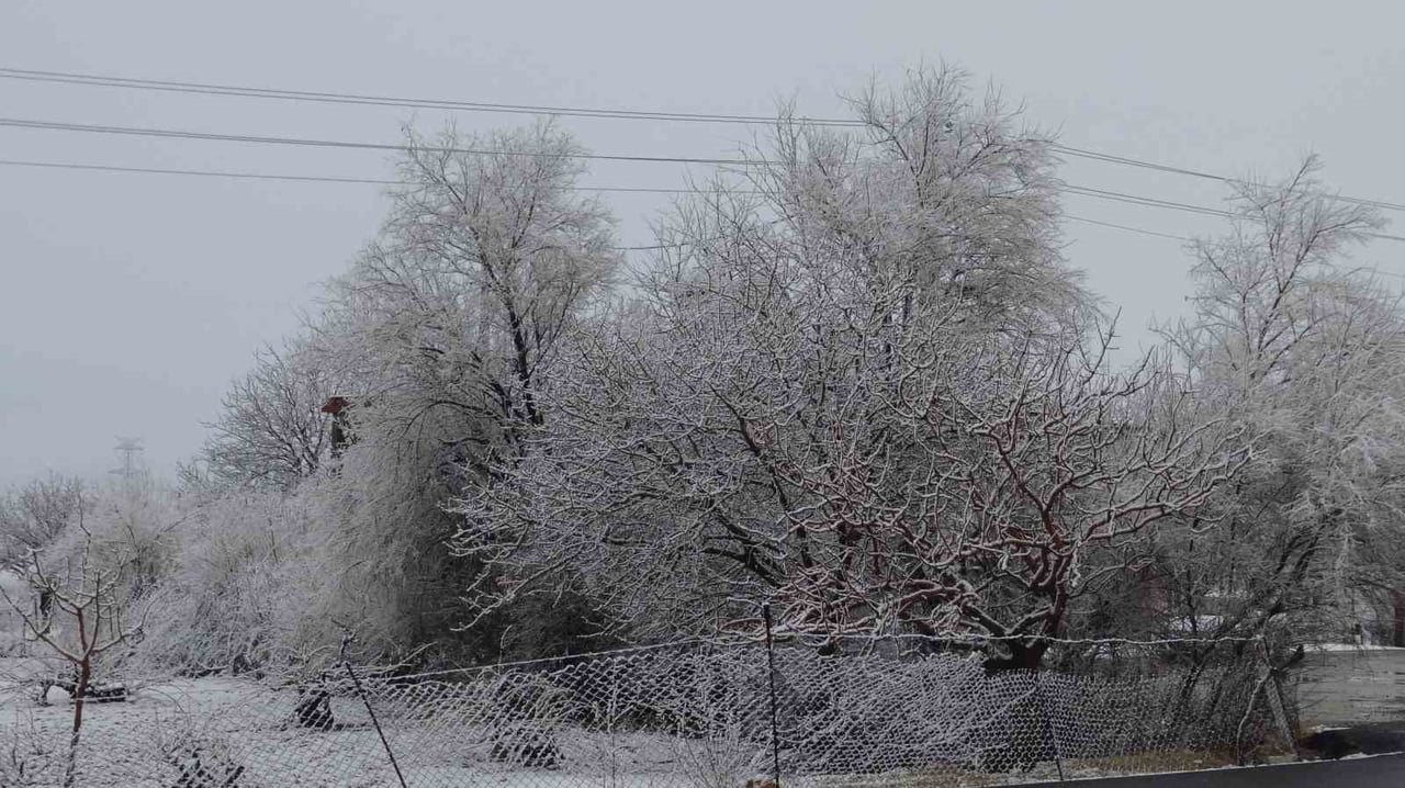 GERCÜŞ BEYAZ ÖRTÜYLE KAPLANDI: ORTAYA RENKLİ GÖRÜNTÜLER ÇIKTI
