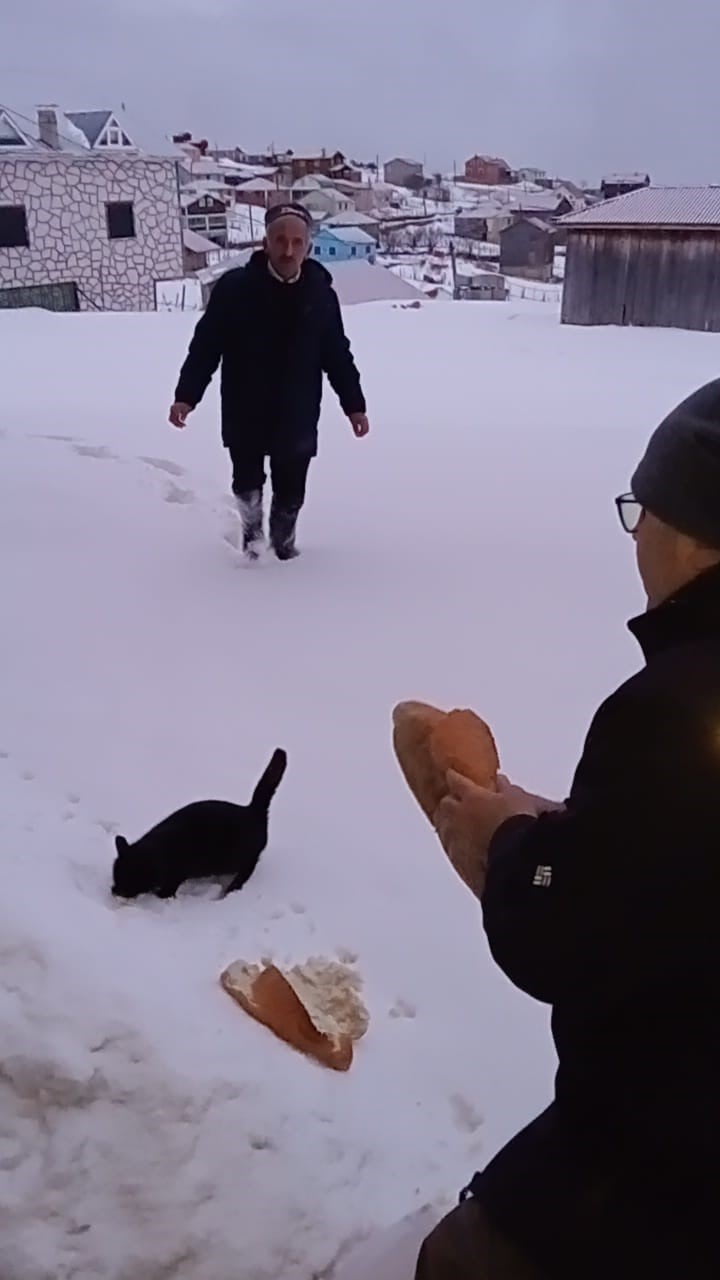 GİRESUN’UN YÜKSEK KESİMLERİNDE ETKİLİ OLAN YOĞUN KAR YAĞIŞI, YAYLALARDAKİ YAŞAMI OLUMSUZ...