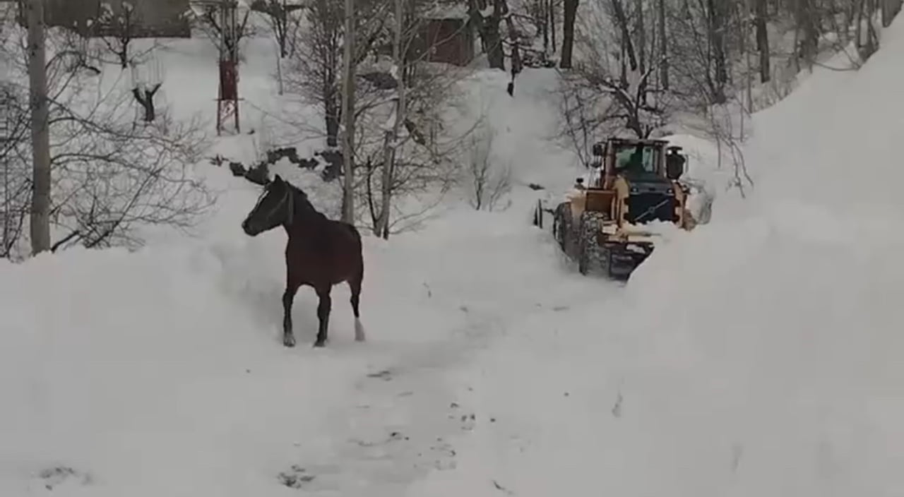 HAKKARİ'NİN YÜKSEKOVA İLÇESİNDE KIŞIN KİMSENİN İKAMET ETMEDİĞİ VE KAR NEDENİYLE YOLU KAPANAN KÖYDE...