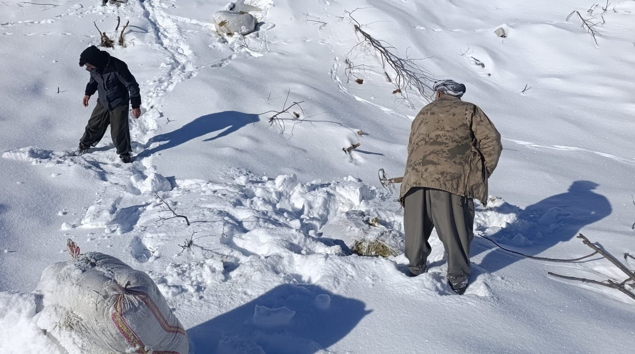 HAKKARİ’NİN ÇUKURCA İLÇESİNE BAĞLI TAŞBAŞI KÖYÜ İDEYİ MAHALLESİ’NDE AHIRLARIN ÜZERİNE ÇIĞ DÜŞMESİ...