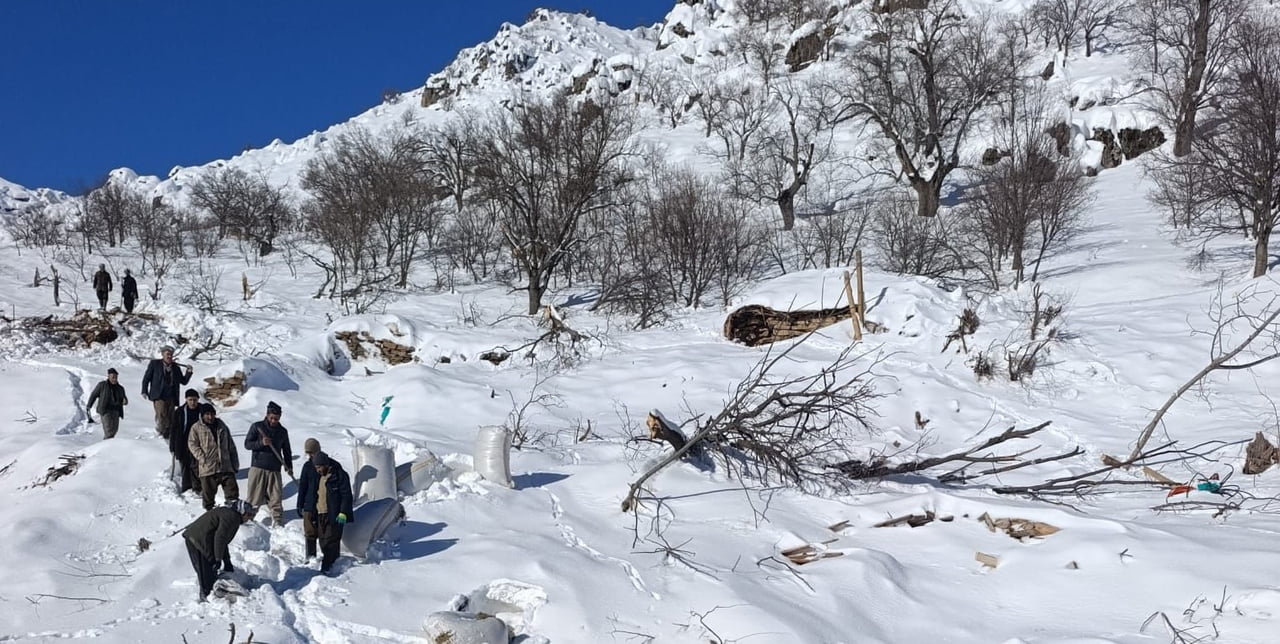 HAKKARİ’NİN ÇUKURCA İLÇESİNE BAĞLI TAŞBAŞI KÖYÜ İDEYİ MAHALLESİ’NDE AHIRLARIN ÜZERİNE ÇIĞ DÜŞMESİ...