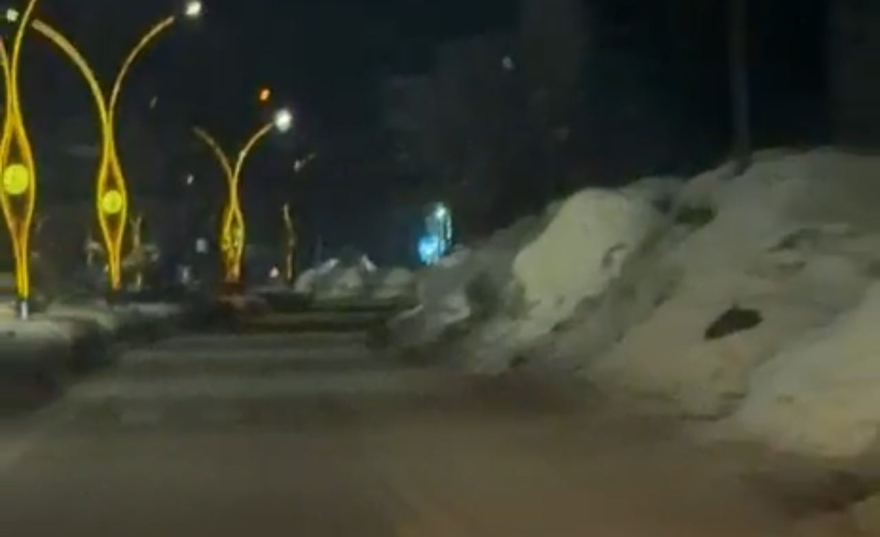 HAKKARİ’NİN YÜKSEKOVA İLÇESİNDE ETKİLİ OLAN OLUMSUZ HAVA ŞARTLARI NEDENİYLE AÇ KALAN KURTLAR...