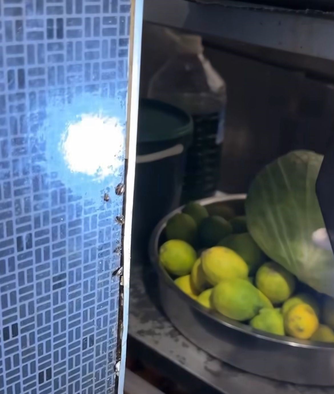 HATAY'DA PRİMEMALL ALIŞVERİŞ MERKEZİ'NDE ZABITA EKİPLERİ TARAFINDAN GERÇEKLEŞTİRİLEN DENETİMLERDE...