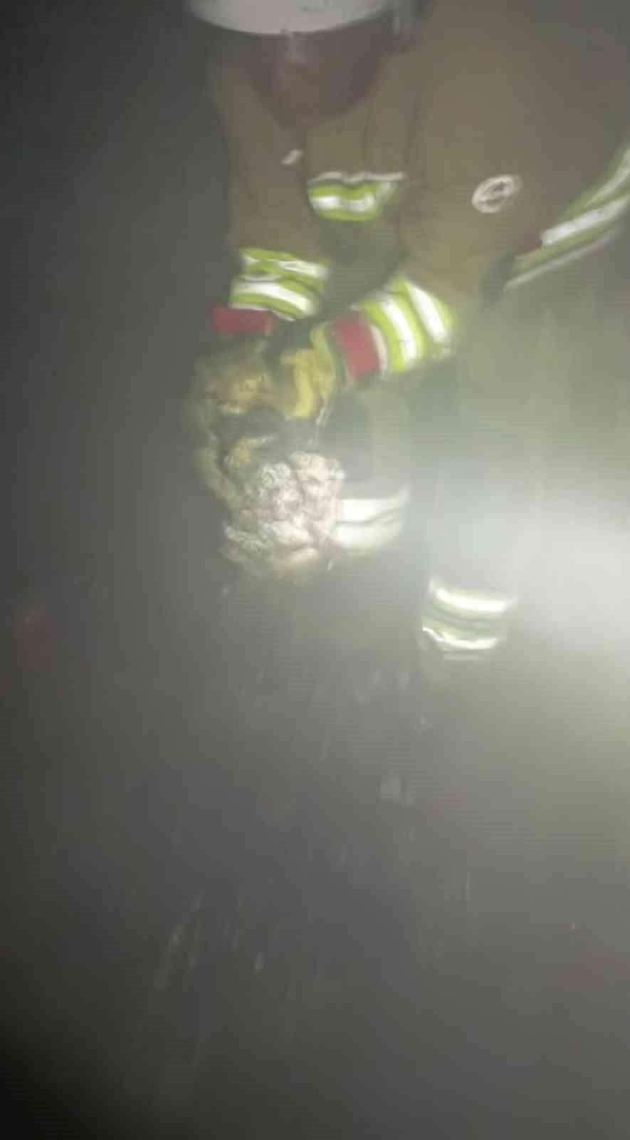 HATAY’DA ALEVLERE TESLİM OLAN MÜSTAKİL EV İÇERİSİNDE KALAN KEDİYİ İTFAİYE EKİPLERİ...