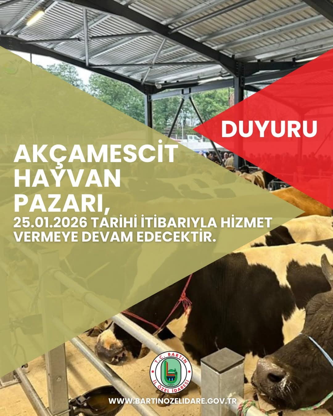 HAYVAN PAZARI YENİDEN HİZMETE AÇILACAK