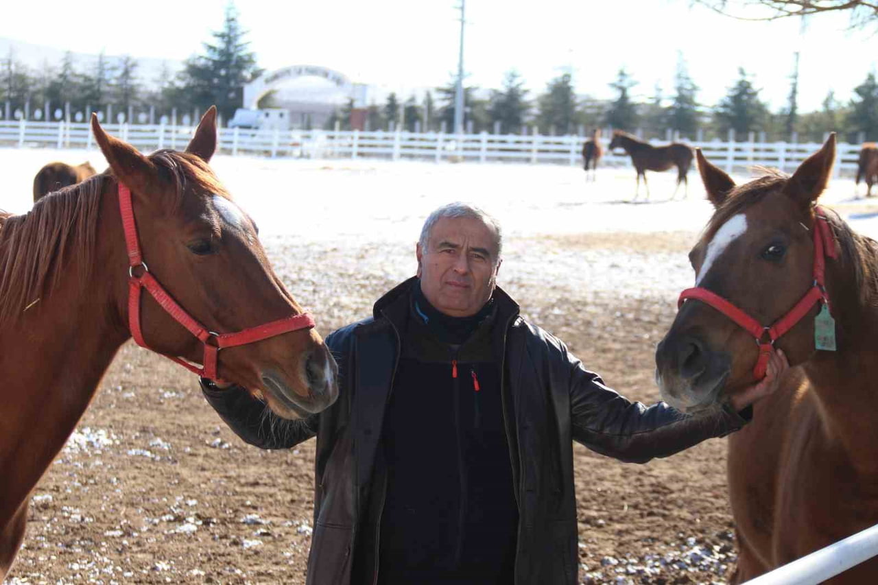 HER GÜN BAKTIĞI SAYILARI 90 İLE 100 ARASINDA DEĞİŞEN AT VE TAYLARIN DIŞARI BIRAKMALARI GEREKTİĞİNİ...
