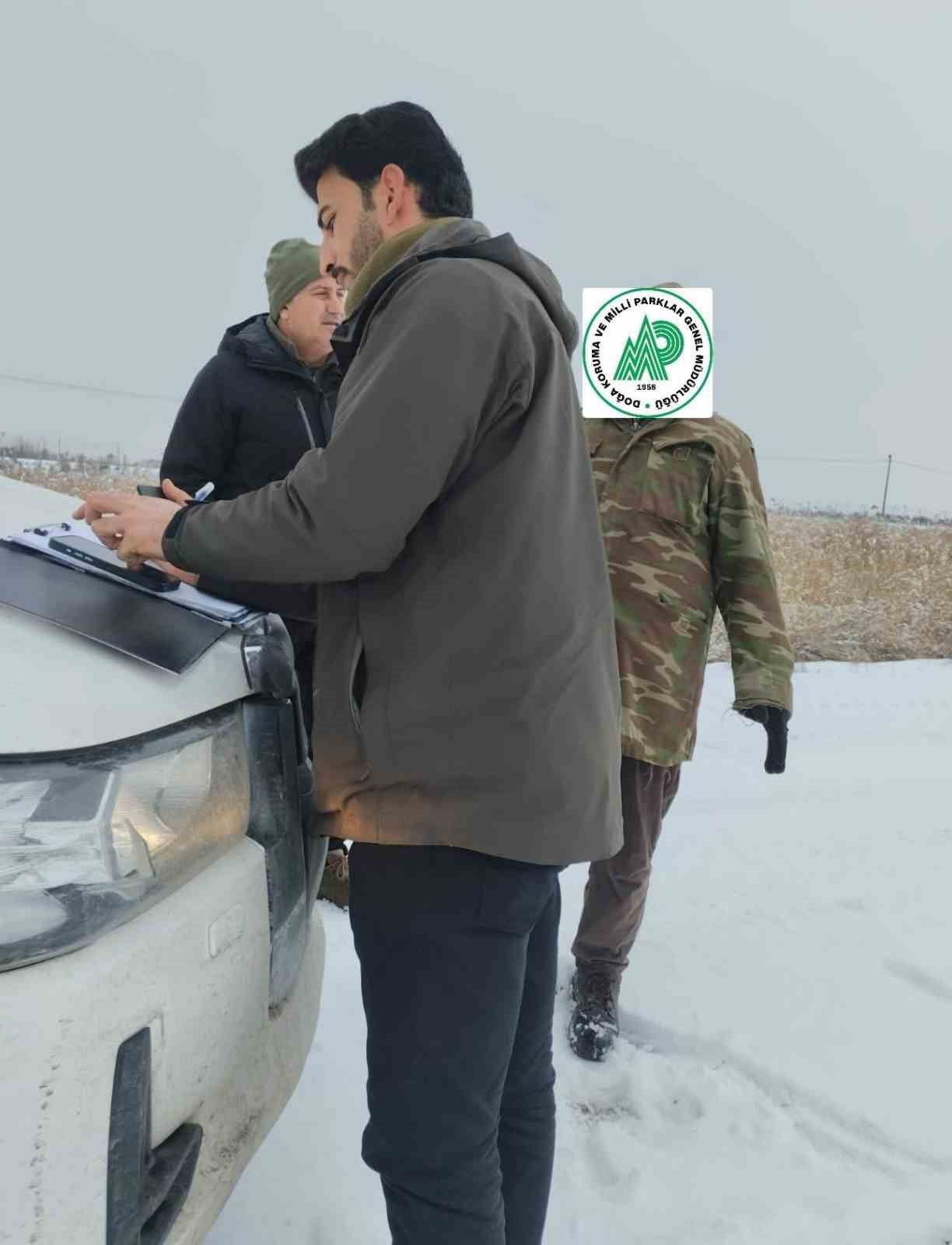 IĞDIR’DA BELGESİZ AVLANAN ŞAHSA İDARİ YAPTIRIM UYGULANDI