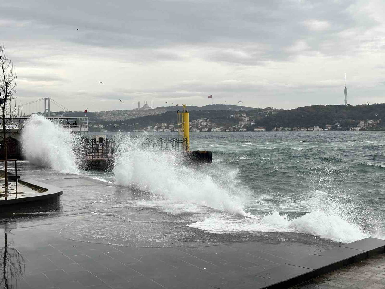 İSTANBUL'DA ETKİSİNİ SÜRDÜREN LODOS NEDENİYLE SAHİL ŞERİDİNDE DEV DALGALAR OLUŞTU. DALGALAR KIYI...