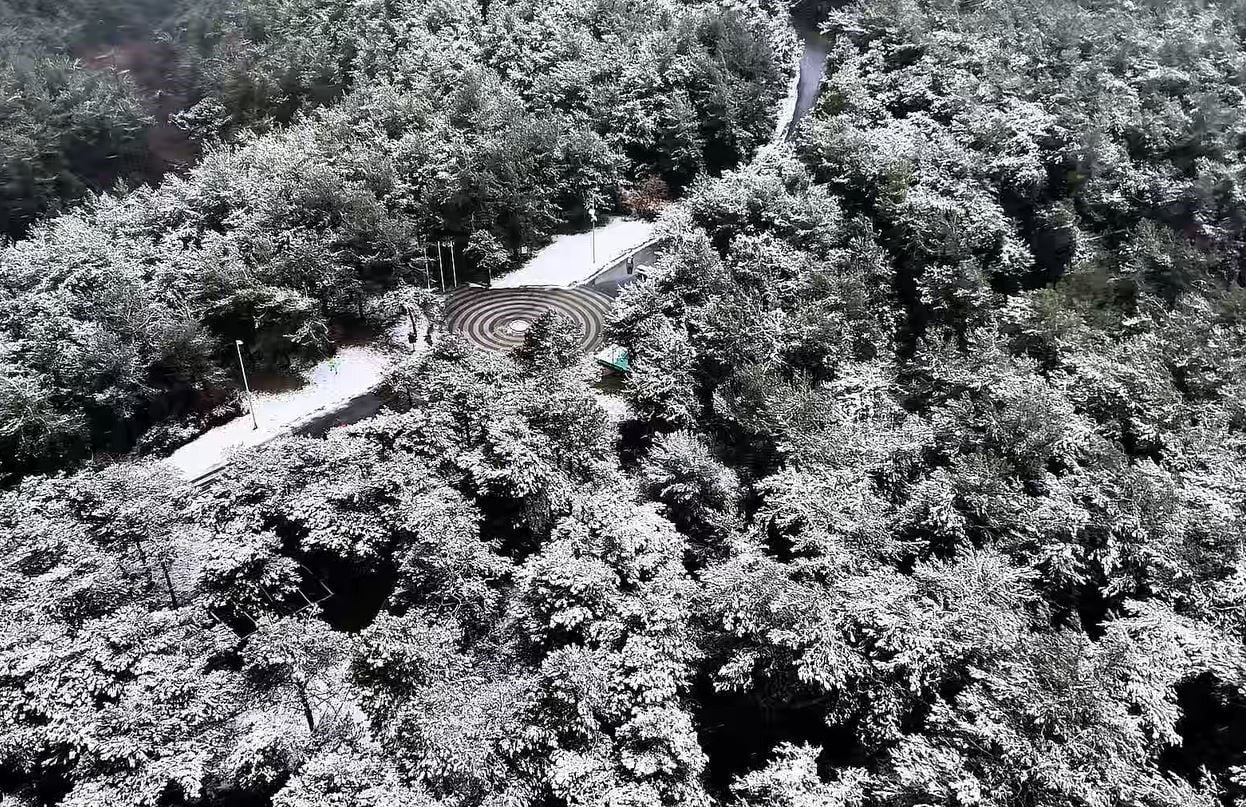 İSTANBUL ETKİLİ OLAN KAR YAĞIŞIYLA BAŞAKŞEHİR’DE BULUNAN ŞAMLAR TABİKAT PARKI BEYAZA BÜRÜNDÜ....