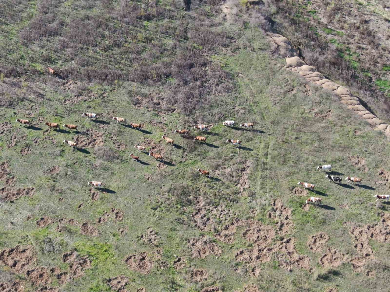 İZMİR'DE BARAJLAR BOŞALDI; SU KESİNTİLERİ ARTIK HER GÜN UYGULANACAK