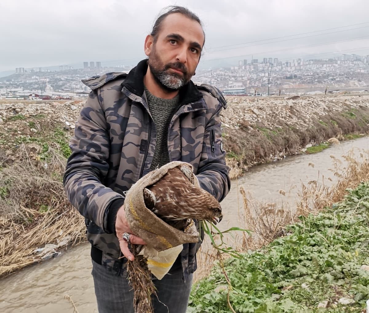 KAHRAMANMARAŞ’TA YAŞAYAN YIRTICI KUŞ TÜRLERİNDEN ERKEK BİR ŞAHİN, DÜZENLİ DOĞA GÖZLEMLERİ...