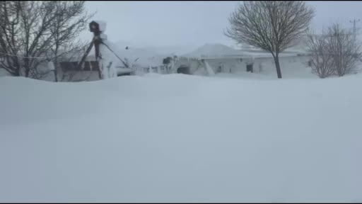 Kangallarını beslemek için yola çıktı, çiftliğe vardığında gözlerine inanamadı