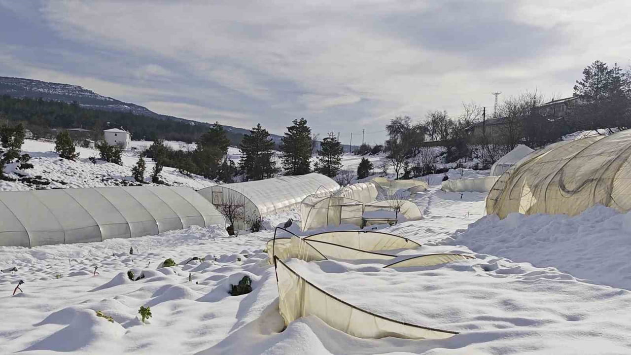 KARABÜK’ÜN SAFRANBOLU İLÇESİNDE ETKİLİ OLAN YOĞUN KAR YAĞIŞI, SERALARDA BÜYÜK ZARARA YOL...