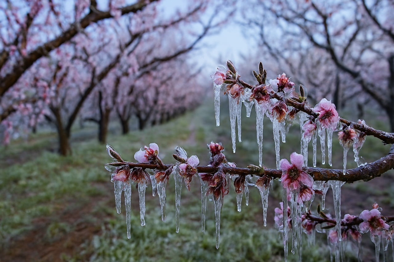 KARADENİZ ÜZERİNDEN GELEN SOĞUK HAVA DALGASI NEDENİYLE ADANA’DA METEOROLOJİ VERİLERİNE GÖRE 18-22...