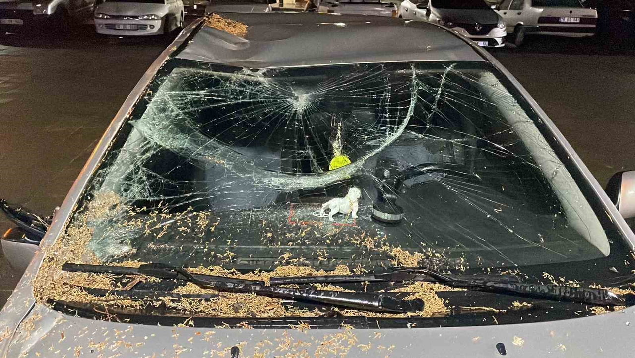 KARAMAN’DA ŞİDDETLİ FIRTINADA KIRILAN AĞAÇ DALI OTOMOBİLİN ÜZERİNE DÜŞEREK HASAR...