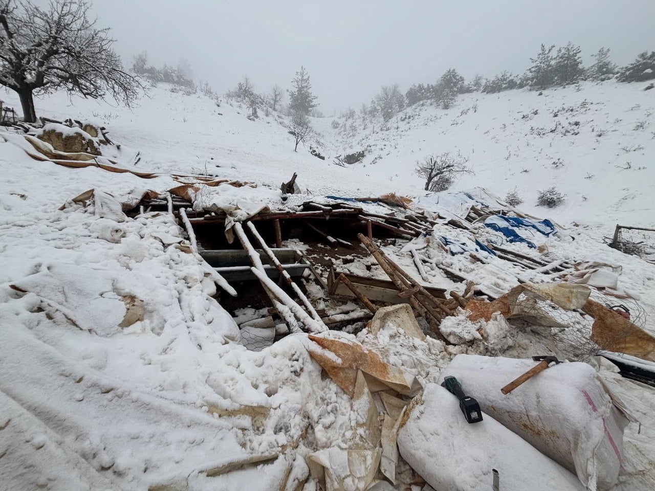 KARAMAN’IN BAŞYAYLA İLÇESİNDE ETKİLİ OLAN YOĞUN KAR YAĞIŞI NEDENİYLE BİR AHIRIN ÇATISI ÇÖKTÜ....