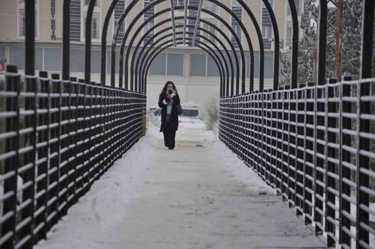 KARS’TA SOĞUKTAN AĞAÇLAR KIRAĞI TUTTU(KARS-İHA)