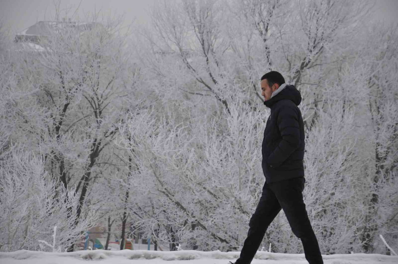 KARS’TA SOĞUKTAN AĞAÇLAR KIRAĞI TUTTU(KARS-İHA)