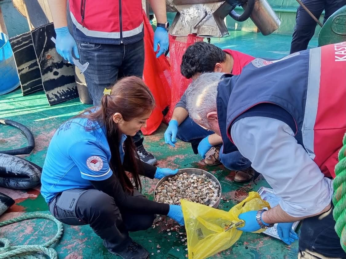 KASTAMONU’NUN İNEBOLU İLÇESİNDE TARIM VE ORMAN MÜDÜRLÜĞÜ EKİPLERİNCE BEYAZ KUM MİDYESİNE YÖNELİK...