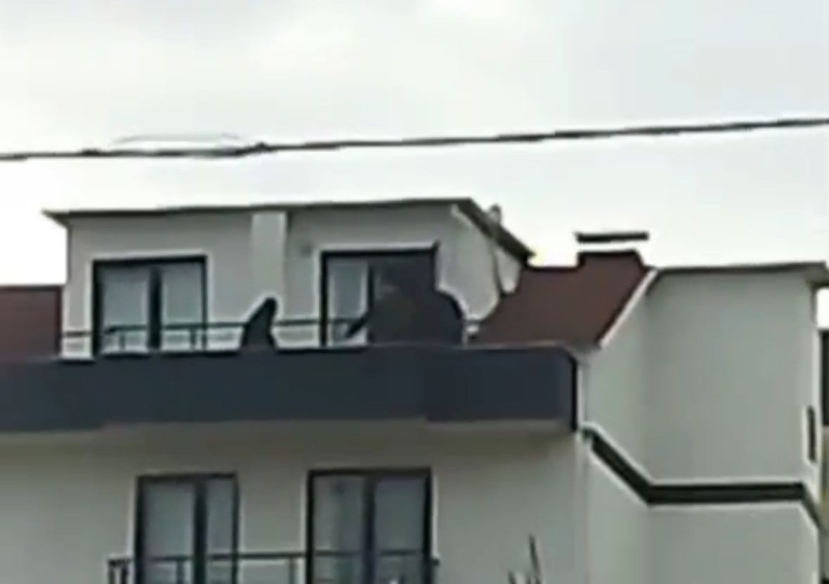 KOCAELİ'DE, FETÖ/PDY'YE YÖNELİK YÜRÜTÜLEN ÇALIŞMALAR KAPSAMINDA, HAKKINDA KESİNLEŞMİŞ HAPİS CEZASI...