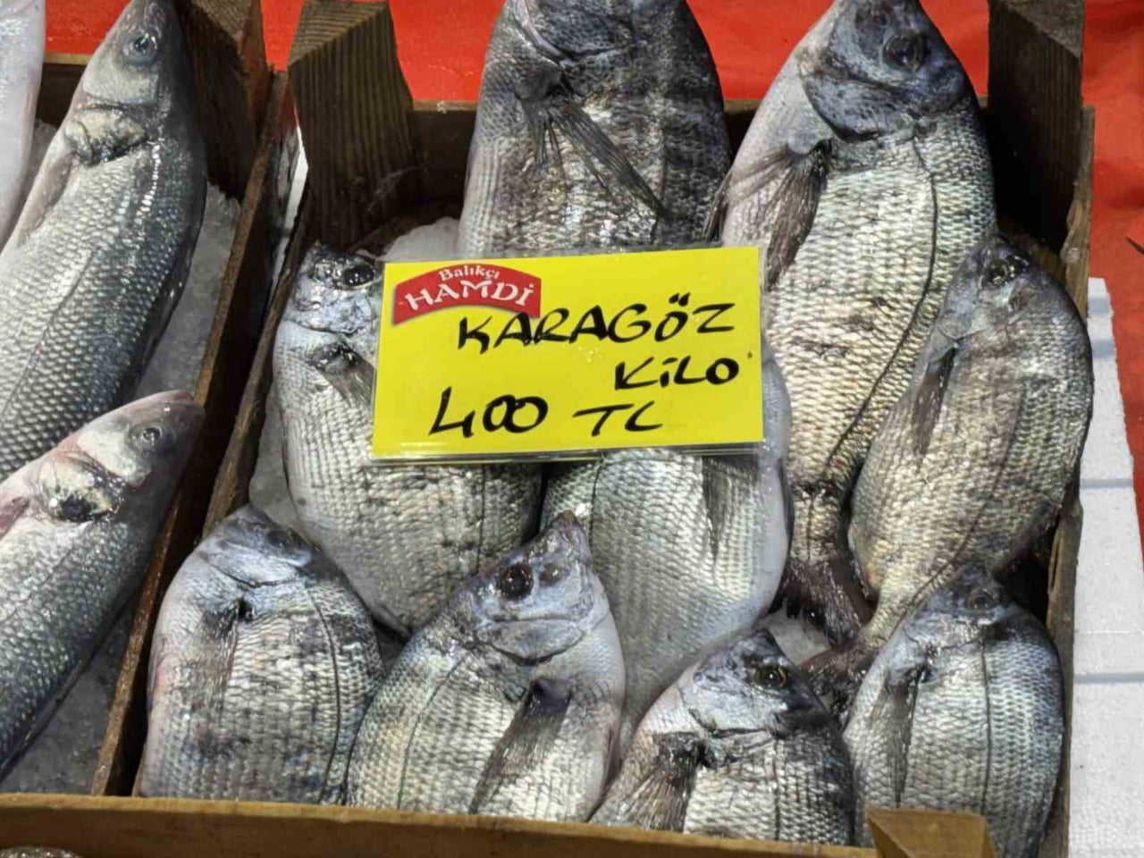 KOCAELİ'DEKİ TEZGAHLARDA BALIK MİKTARI AZALDI.