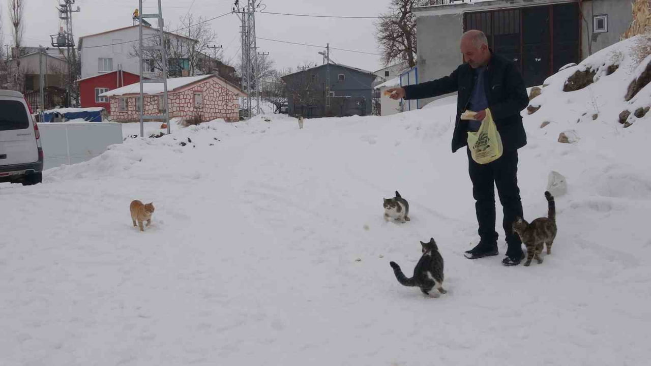 KÖYDEKİ KEDİ VE KÖPEKLERİ SOĞUK KIŞ GÜNLERİNDE AÇLIKTAN ÖLMEMELERİ İÇİN KENDİ ELLERİYLE BESLİYOR....