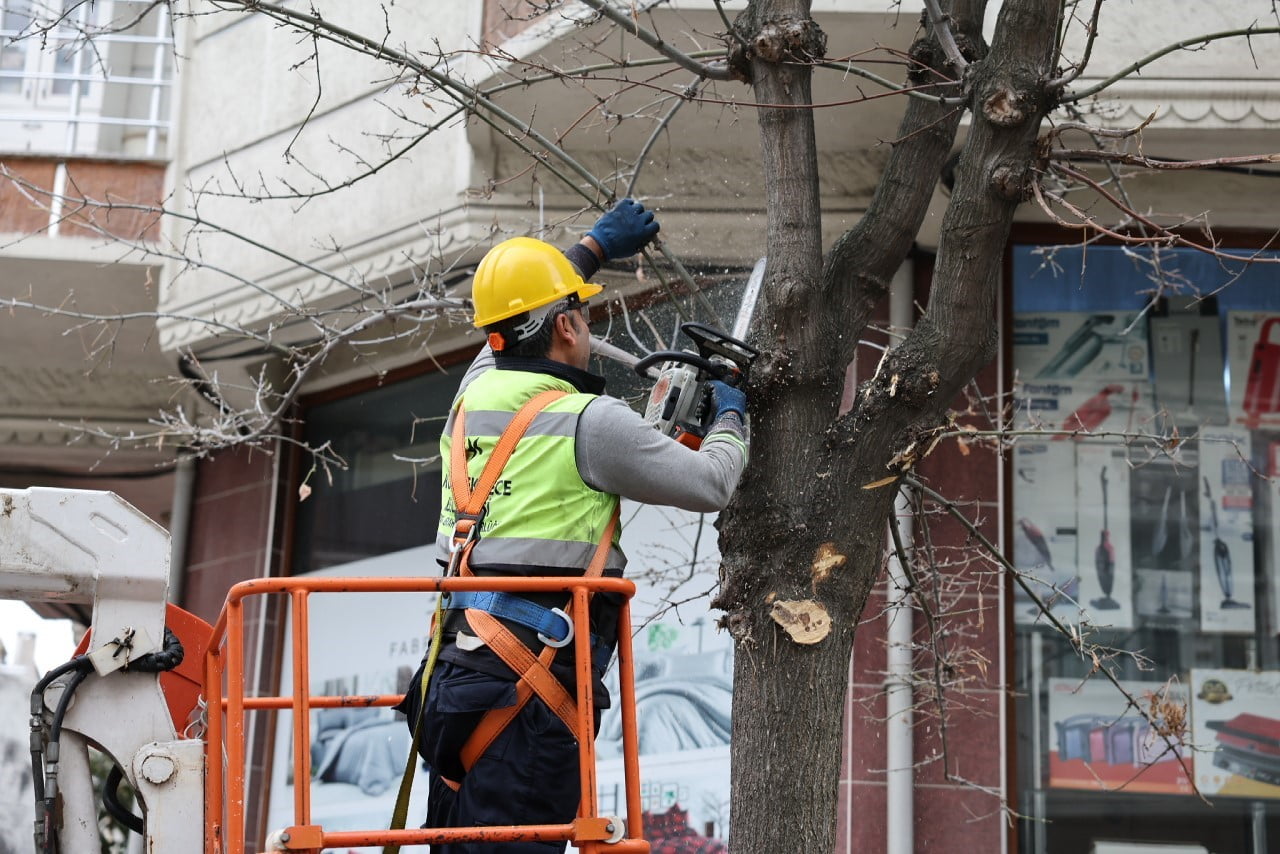 KÜÇÜKÇEKMECE BELEDİYESİ,  AĞAÇ BUDAMA ÇALIŞMALARINDAN ELDE EDİLEN AĞAÇ DALLARIYLA İHTİYAÇ...