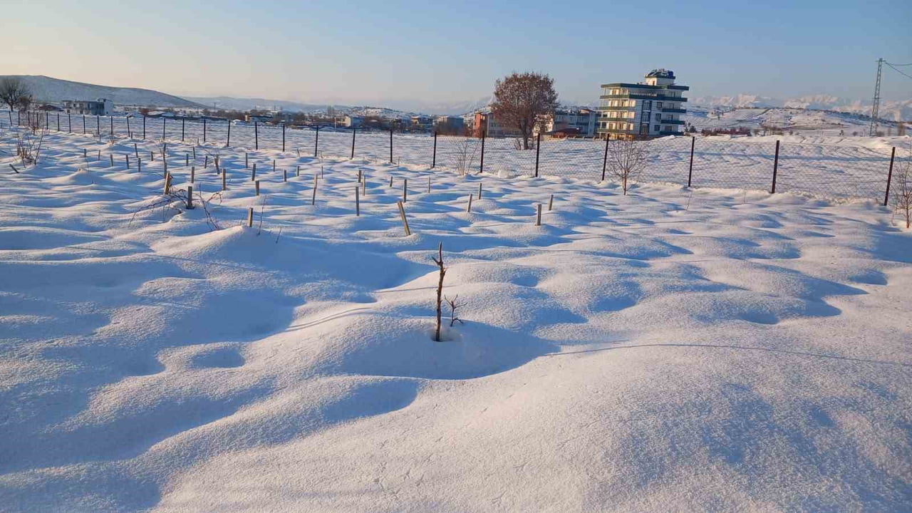 KULP’TA KAR YAĞIŞI ÇİFTÇİYE UMUT OLDU DİYARBAKIR’IN KULP İLÇESİNDE 7 GÜN SÜREN YOĞUN KAR YAĞIŞI...