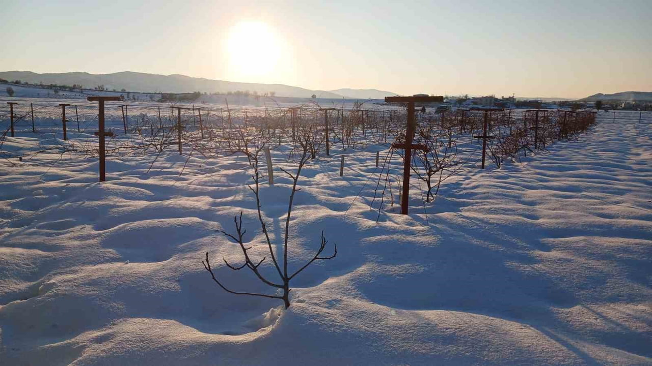 KULP’TA KAR YAĞIŞI ÇİFTÇİYE UMUT OLDU DİYARBAKIR’IN KULP İLÇESİNDE 7 GÜN SÜREN YOĞUN KAR YAĞIŞI...