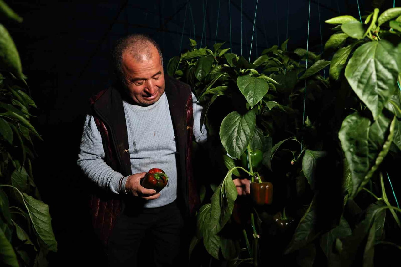 KURŞUNLU MAHALLESİ'NDE SERACILIK YAPAN ALİ PATIR SİSTEMİN BÜYÜK KOLAYLIK SAĞLADIĞINI...