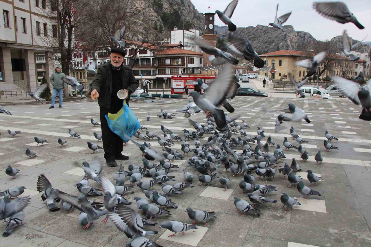 KUŞLARIN AÇ KALMAMASI İÇİN HER GÜN KAHVALTIDAN ÖNCE ŞEHRİ DOLAŞAN GÜVERCİNLERİN ‘YEMCİ DEDE’Sİ...