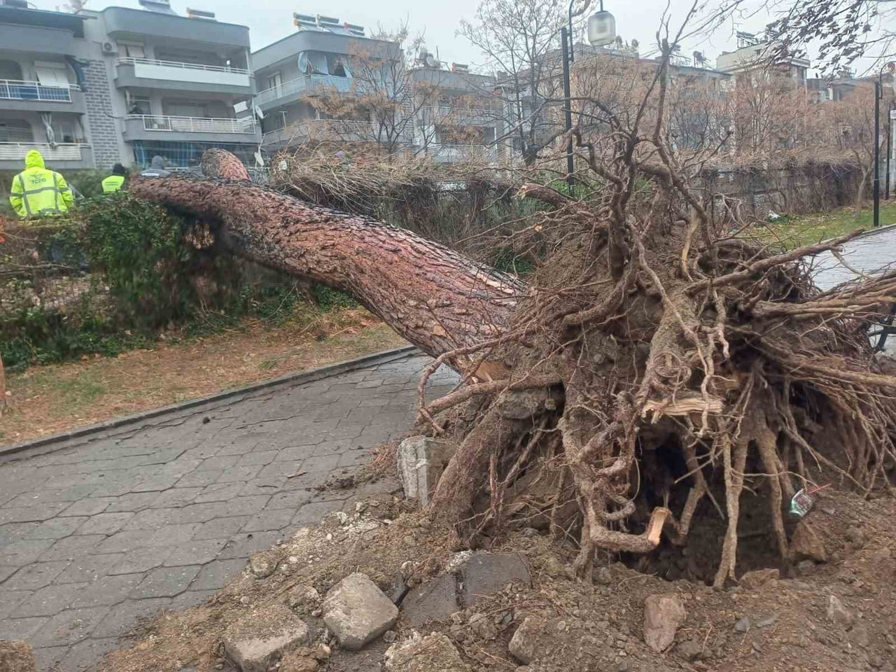 MANİSA’NIN SALİHLİ İLÇESİ ADETA FIRTINA FELAKETİ YAŞADI. ETKİLİ OLAN FIRTINA NEDENİYLE İLÇEDE ÇOK...