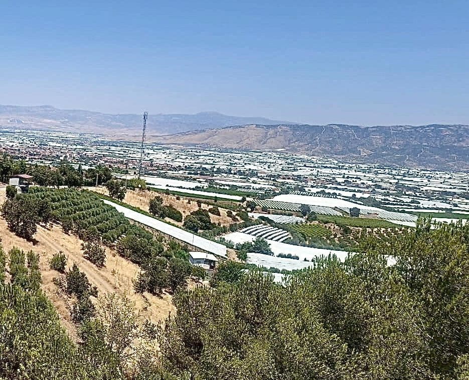 MANİSA’NIN SARIGÖL İLÇESİNDE, ÜZÜM BAĞLARINI KORUMAK AMACIYLA HAZİRAN AYI SONUNDA ÖRTÜLEN BEYAZ...