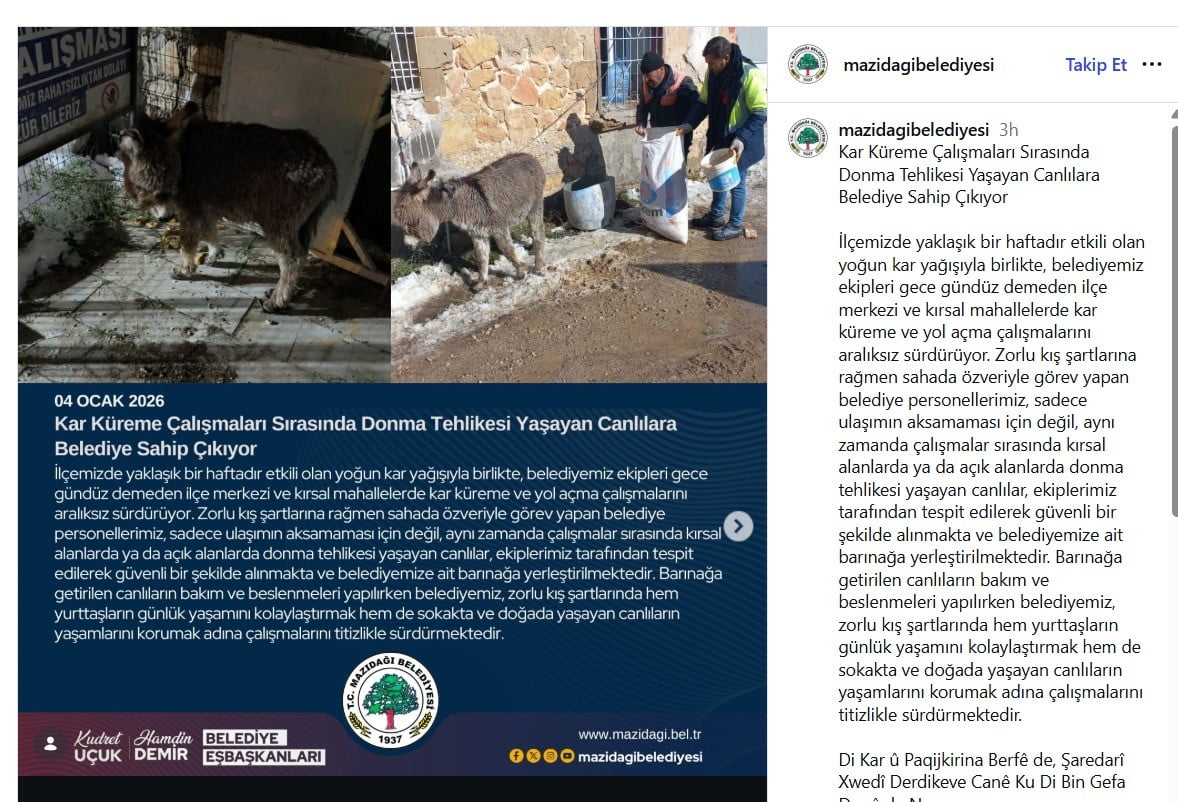 MARDİN’İN MAZIDAĞI İLÇESİNDE, DEM PARTİLİ MAZIDAĞI İLÇE BELEDİYESİNİN YOĞUN KAR YAĞIŞININ ARDINDAN...