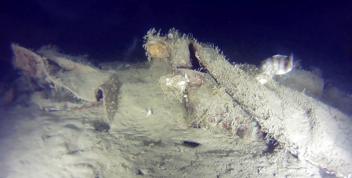 MARMARA DENİZİ'NE 50 YIL ÖNCE DÜŞEN UÇAĞIN GÖVDESİNE AİT YENİ PARÇALARI BULUNDU