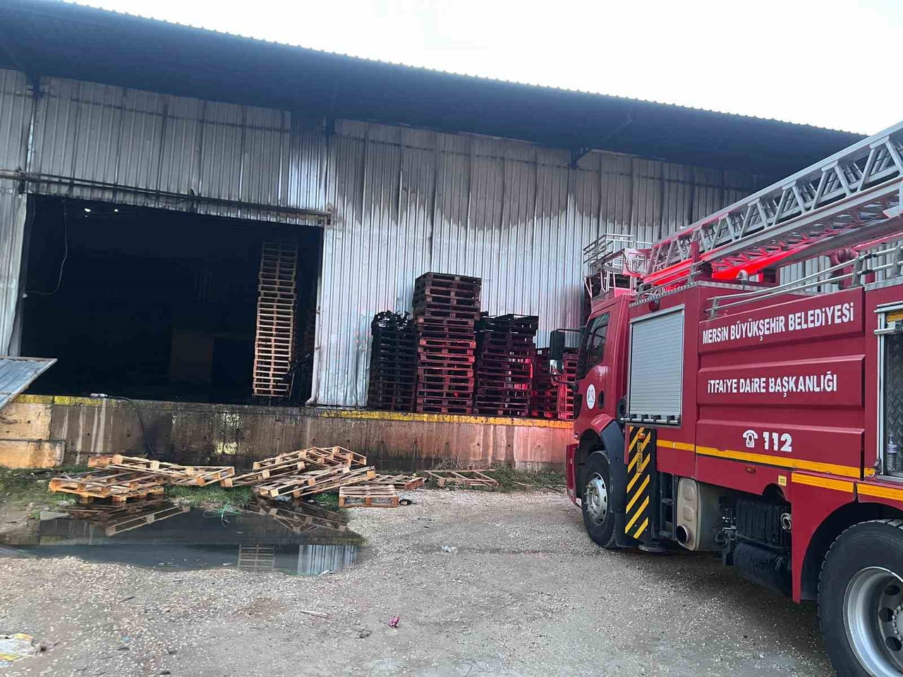 MERSİN'DE BİR NARENCİYE FABRİKASININ PAKETLEME BÖLÜMÜNE YANGIN ÇIKTI, ÇOK SAYIDA İTFAİYEYE...