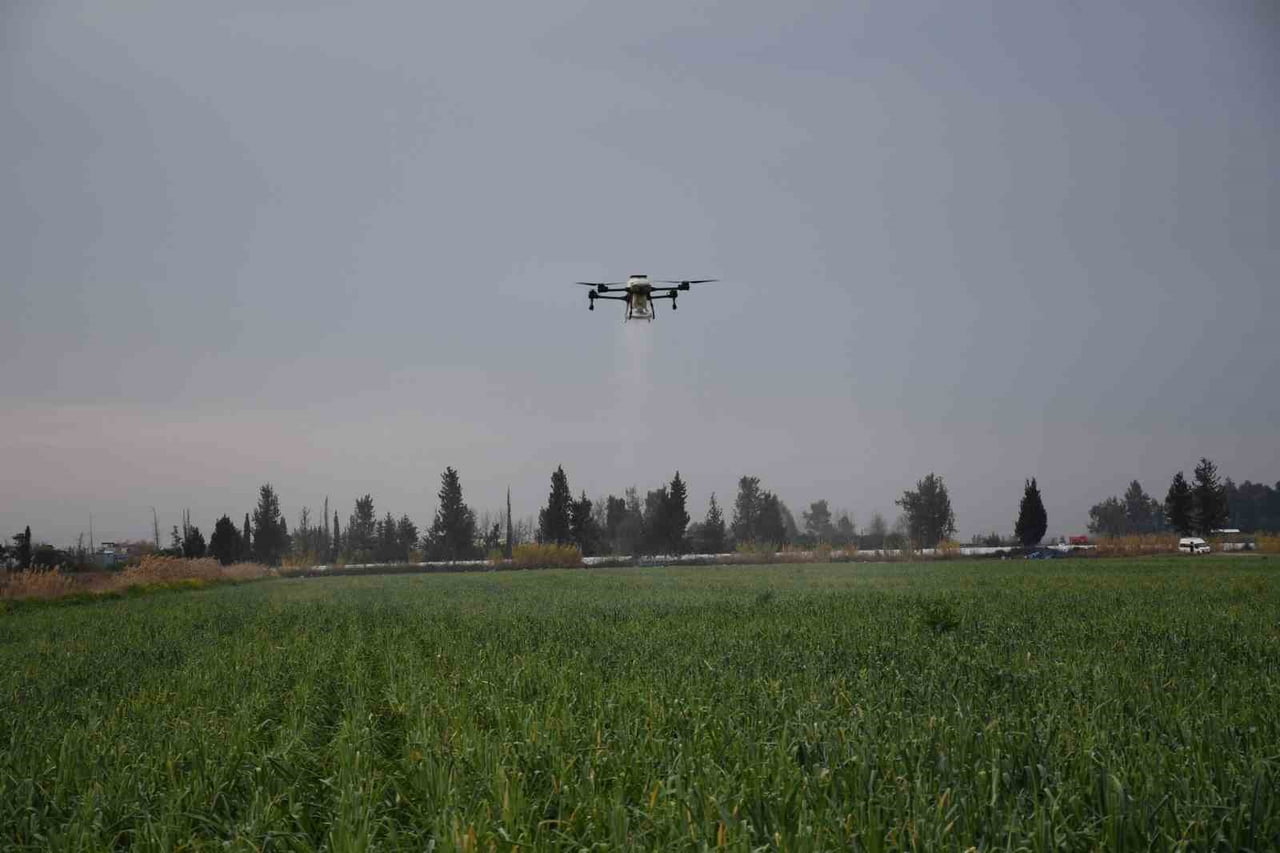 MERSİN'DE ÇİFTÇİLER TARLALARINI DRONLA GÜBRELEME YAPIYOR