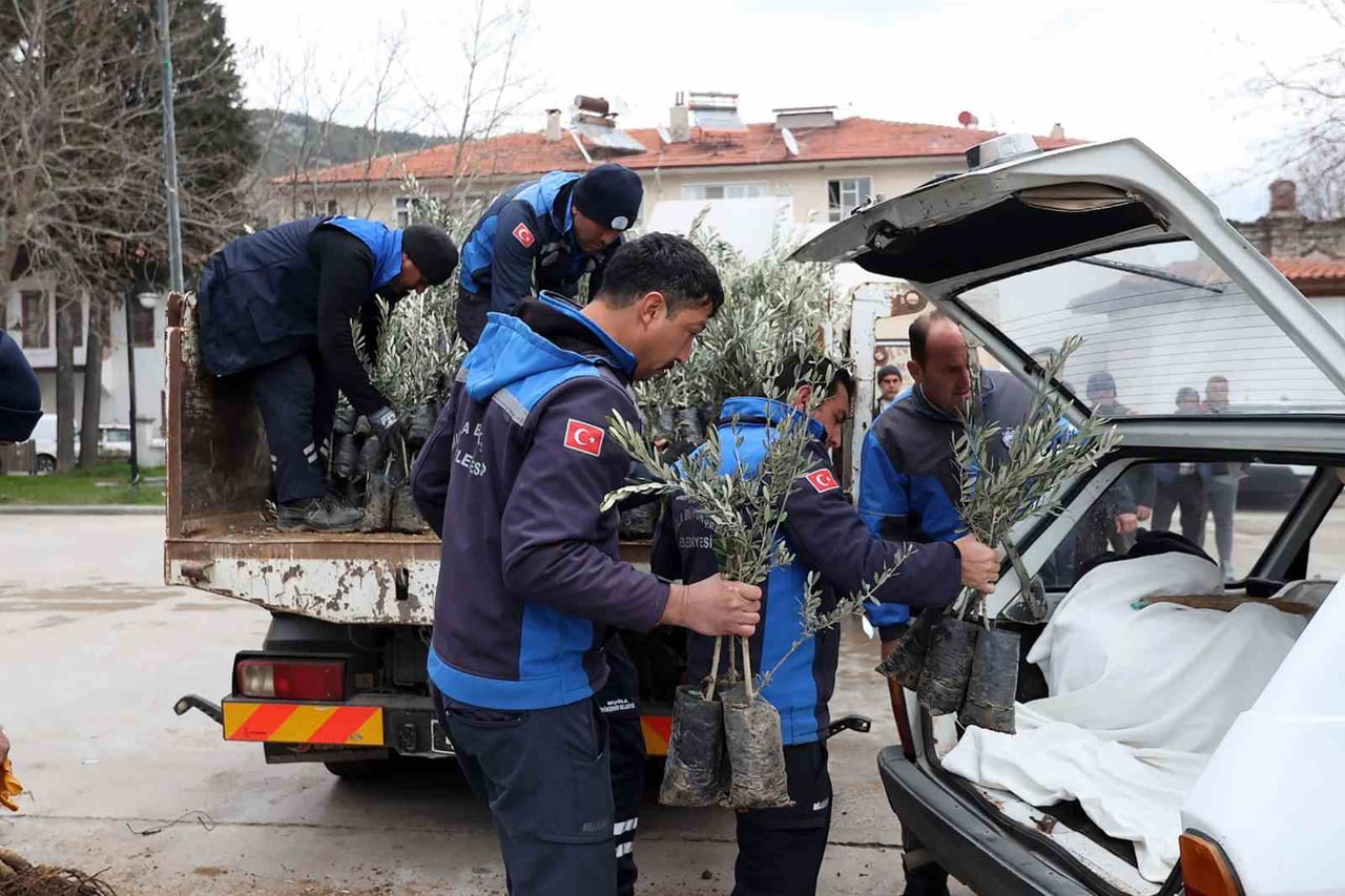 MUĞLA BÜYÜKŞEHİR BELEDİYESİ, ‘HER KAPIDA BİR FİDAN’ PROJESİ İLE İL GENELİNDE ÇALIŞMALARINA DEVAM...