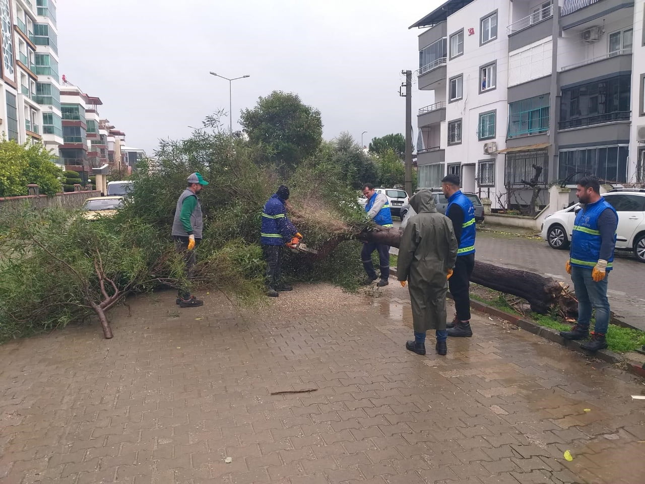 NAZİLLİ BELEDİYESİ PARK VE BAHÇELER MÜDÜRLÜĞÜ EKİPLERİ, İLÇEDE ETKİLİ OLAN YOĞUN YAĞIŞ VE FIRTINA...