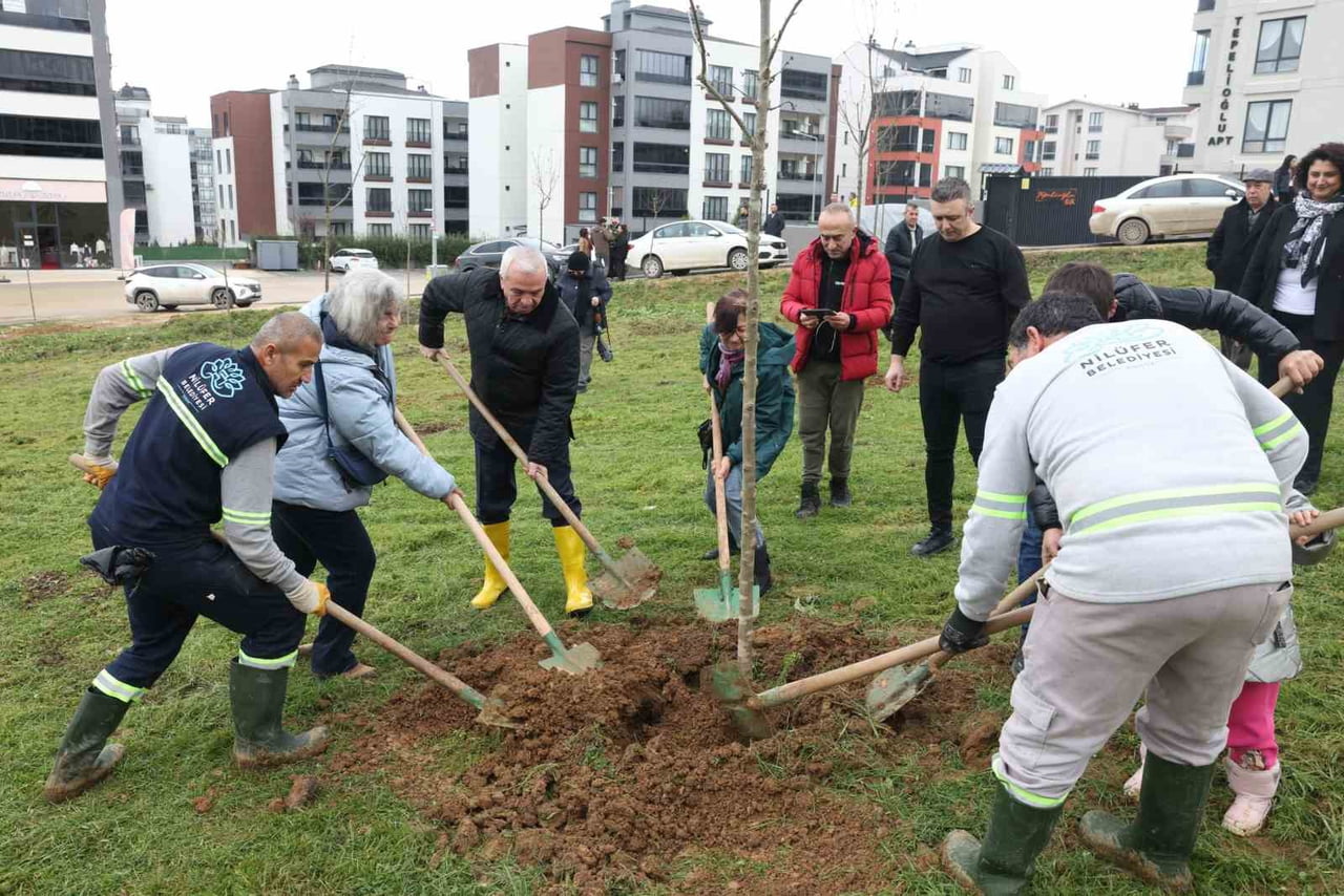 NİLÜFER BELEDİYE BAŞKANI ŞADİ ÖZDEMİR KIZILCIKLIDA AĞAÇ DİKTİ