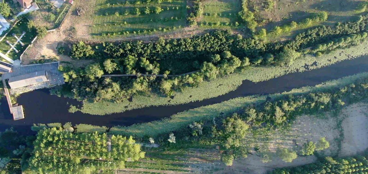 SAKARYA BÜYÜKŞEHİR BELEDİYESİ’NİN ÇEVRE DÜZENLEMELERİYLE DOĞAL KİMLİĞİ GÜÇLENEN İL ORMANI VE...