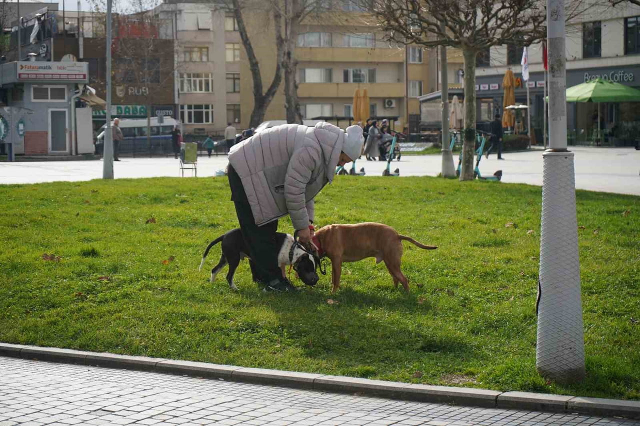 SAKARYA’DA OCAK AYININ SON GÜNLERİNDE MEVSİM NORMALLERİNİN ÜZERİNDE SEYREDEN HAVA SICAKLIKLARI...