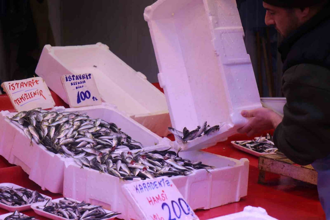 SAKARYA TEZGAHLARINDA YAŞANAN İSTAVRİT BOLLUĞU DEVAM EDİYOR